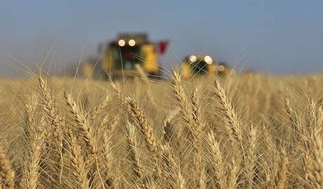 Tarımsal girdi fiyat endeksi  arttı
