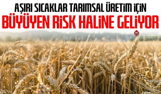 Aşırı sıcaklar tarımsal üretim için büyüyen risk haline geliyor