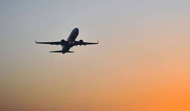 Mayısta fiyatı en çok artan ve azalan ürünler belli oldu