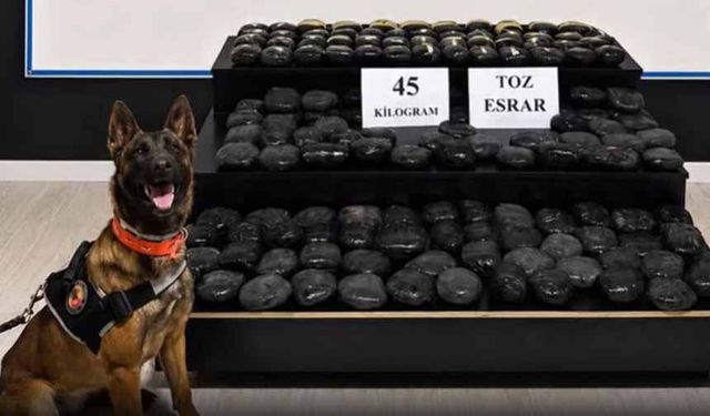 Hakkari'de aranan şahıs 45 kilo uyuşturucuyla yakalandı