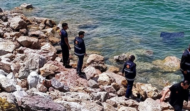 Otomobil Van Gölü'ne uçtu: Sürücü yaralı kurtarıldı