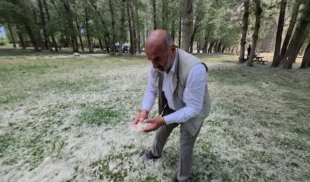 Van'da kar değil polen yağdı!