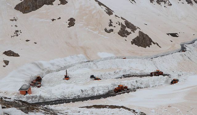 Van'da Bahçesaray yolunda yaya geçişine izin var, araç geçişine yok!