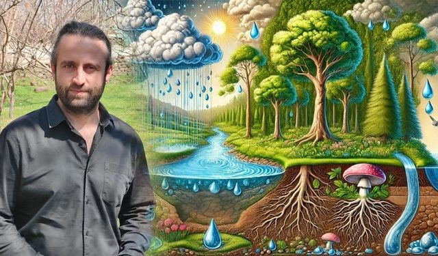 Van’daki yağışlar ekosistem için umut oldu