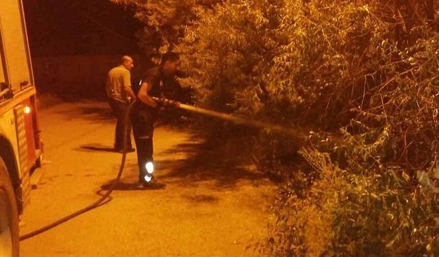 Van’da bahçe yangını korkuttu