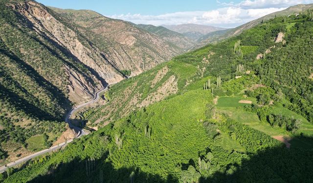 Hizan, doğaseverlerin yeni rotası oldu