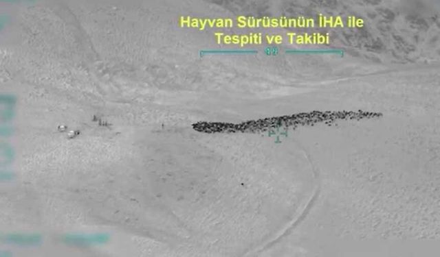 Van’da İHA destekli operasyon: 4 gözaltı