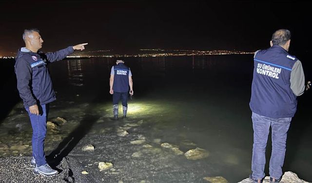 Milyonlarca inci kefali Van Gölü'ne dönüyor