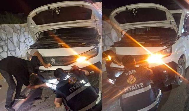 Van'da kamyonetin çarptığı köpeği kurtardı