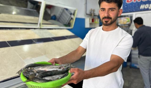 İnci kefali tezgâhlardaki yerini aldı