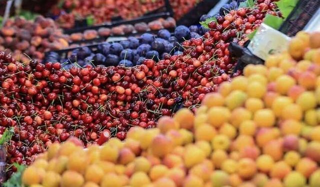 Haziranda fiyatı en çok artan ve azalan ürünler belli oldu