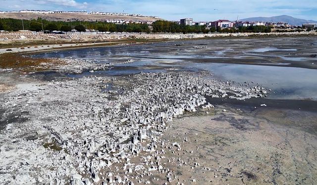 Van Gölü'ndeki mikrobiyalitler yeniden su altında kaldı