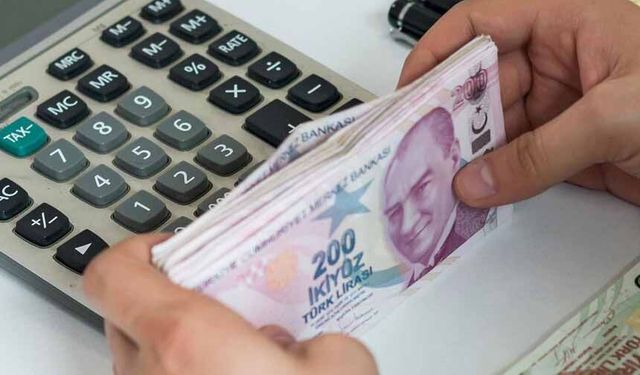 Van'ın bankacılık verileri açıklandı
