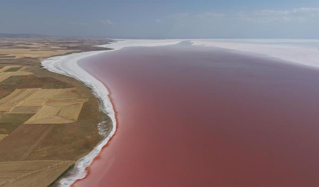 Tuz Gölü, pembe rengini aldı