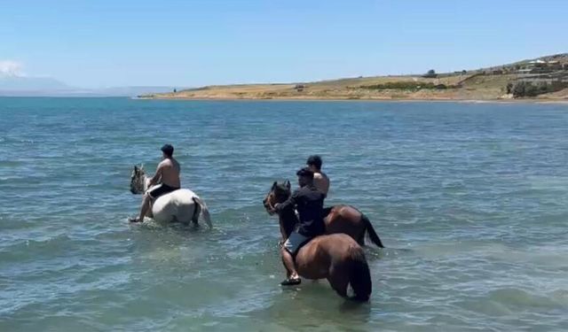 Sıcaktan bunalan gençler atlarıyla Van Gölü'nde serinledi