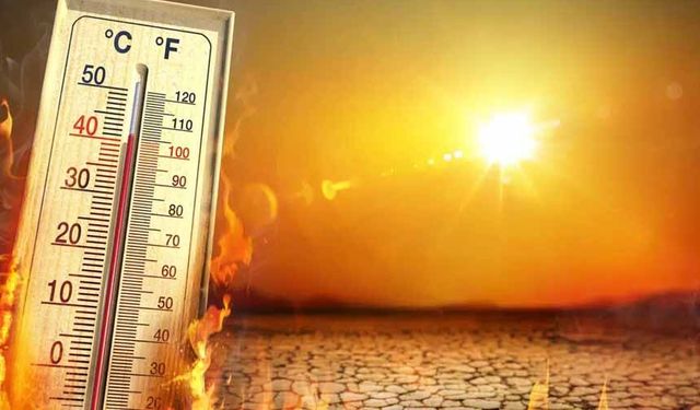 Van'da hava sıcaklıkları arttı