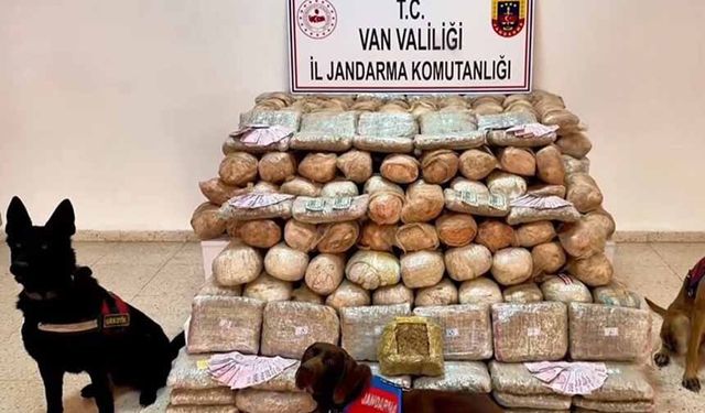 Van'da 333 kilo skunk ele geçirildi