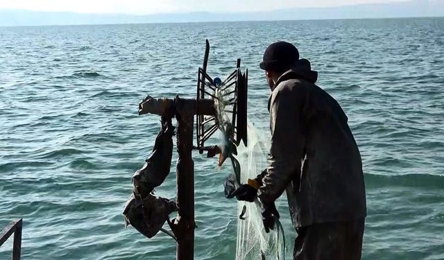 Van Balığı av yasağı sona erdi! Kaçak avcılara milyonlarca lira ceza kesildi
