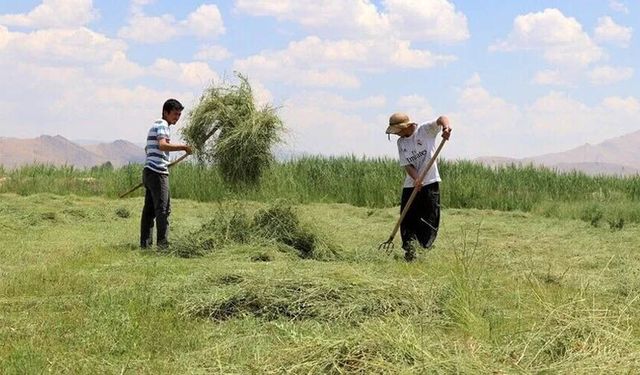 Van'da üreticinin umudu arttı