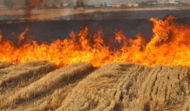 Van’da çiftçiler için önemli çağrı!