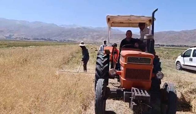 Yüksekova’da sıcak havaya rağmen hasat mesaisi başladı