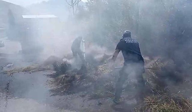 Hakkari'de saman balyaları alevlere teslim oldu