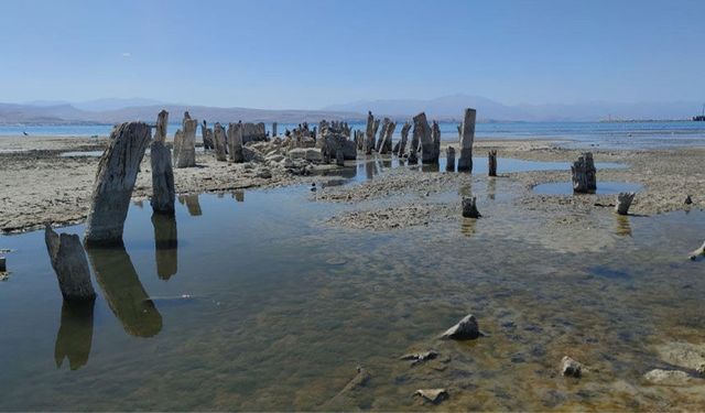 Van Gölü'nde yağışlara rağmen kuraklık alarmı sürüyor