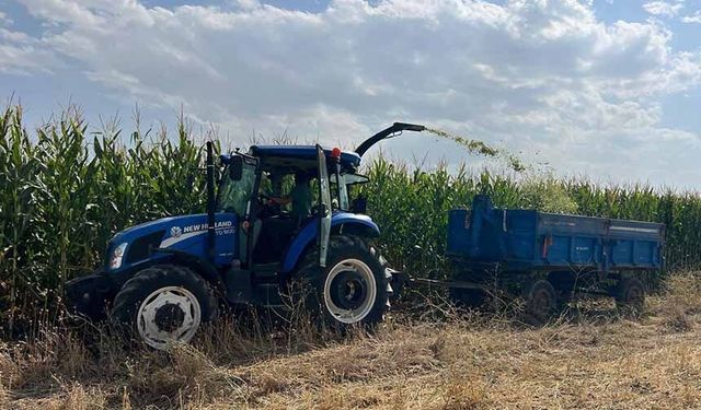 Tuşba’da "Silajlık Mısır Hasadı Tarla Günü" düzenlendi