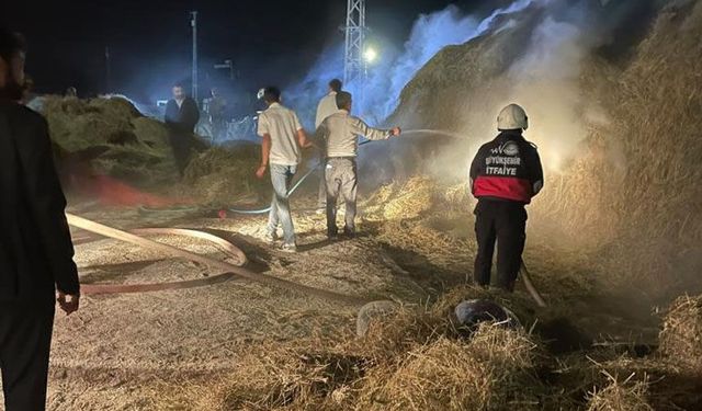 Van'da 2 bin 500 bağ ot yandı