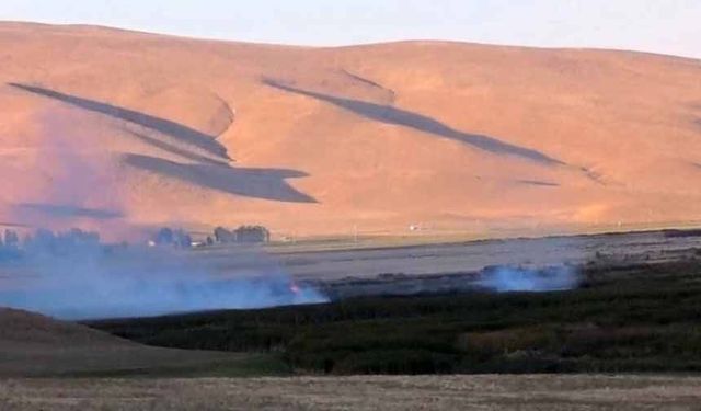 Van'daki Çırak Sazlığı'nda yangın çıktı