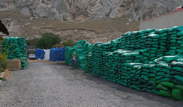 Van’da odun ve kömür fiyatları belli oldu! İşte güncel fiyatlar