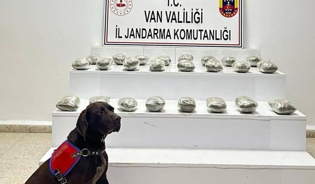 Başkale’de 10 kilo toz esrar ele geçirildi