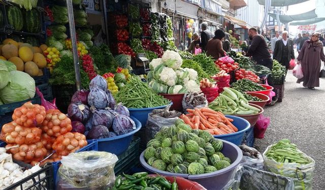 Van'da geleneksel kış hazırlığı başladı