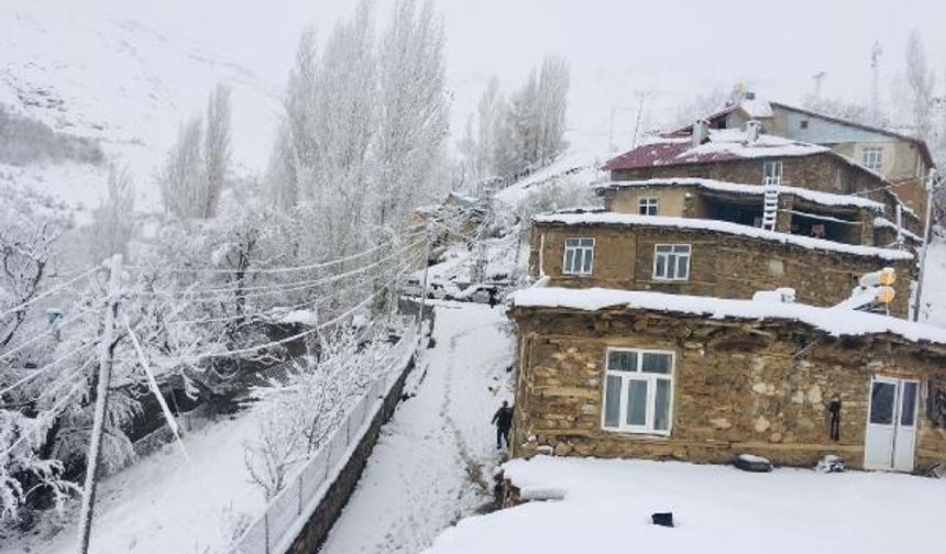 Van'da 83 yerleşim yeri, kardan kapandı