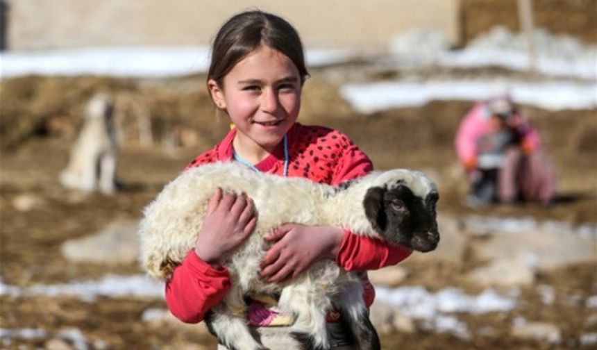 Van'da doğayla iç içe 10 fotoğraf...