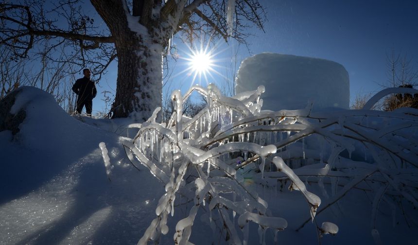 Van'da soğuk hava