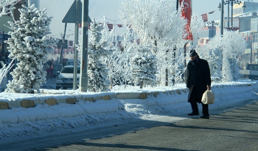 Çaldıran dondu