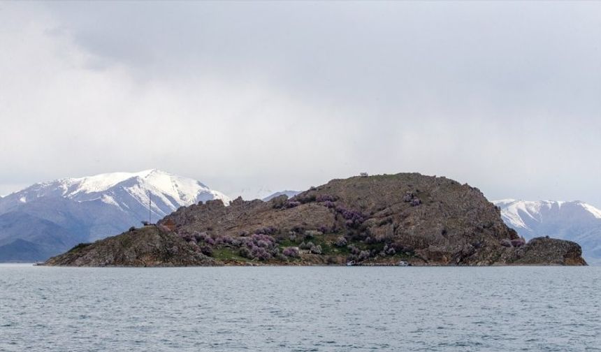 Akdamar Adası'nda ilkbahar