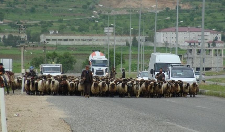 Göçerlerin zorlu Ramazan mesaisi başladı