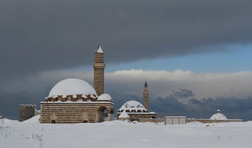 Van'da kar yağışı etkili oldu