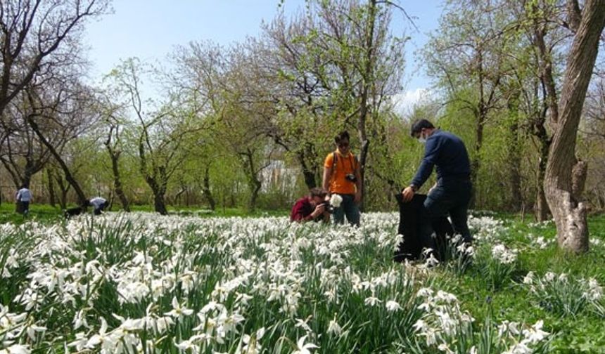 Van'da fotoğraf tutkunlarının yeni adresi bu bahçeler oldu