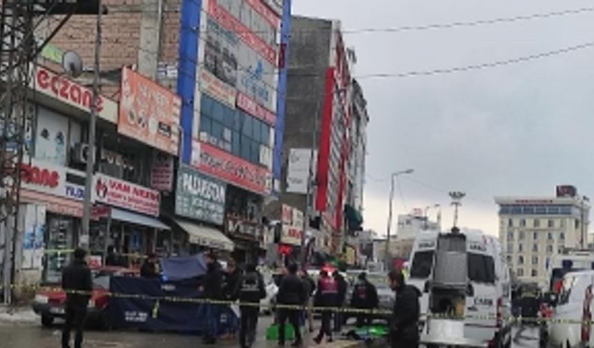 Van'daki çifte cinayetin şüphelisi öğretmen tutuklandı