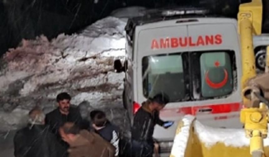 Van'da ambulans kara saplandı