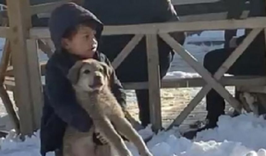 Küçük çocuk, yavru köpeği sırtına alıp, götürmeye çalıştı