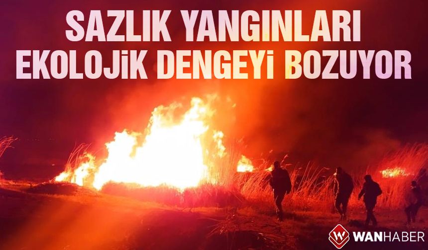 Lokman Aslan: Sazlık yangınları ekolojik dengeyi bozuyor