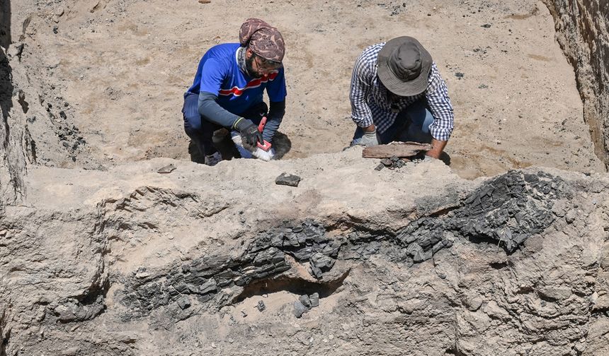 Ayanis Kalesi'ndeki kazılar Urartular dönemine ışık tutuyor