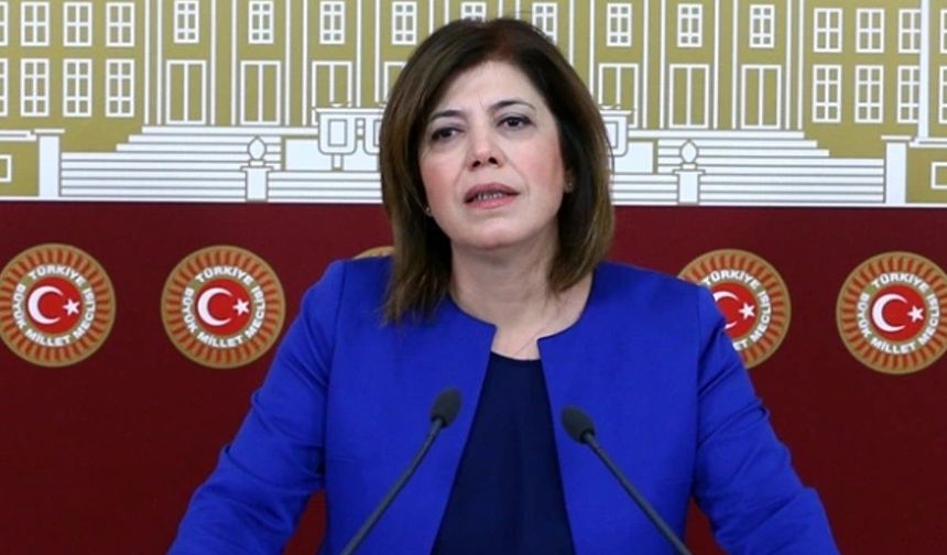 Meral Danış Beştaş kimdir?