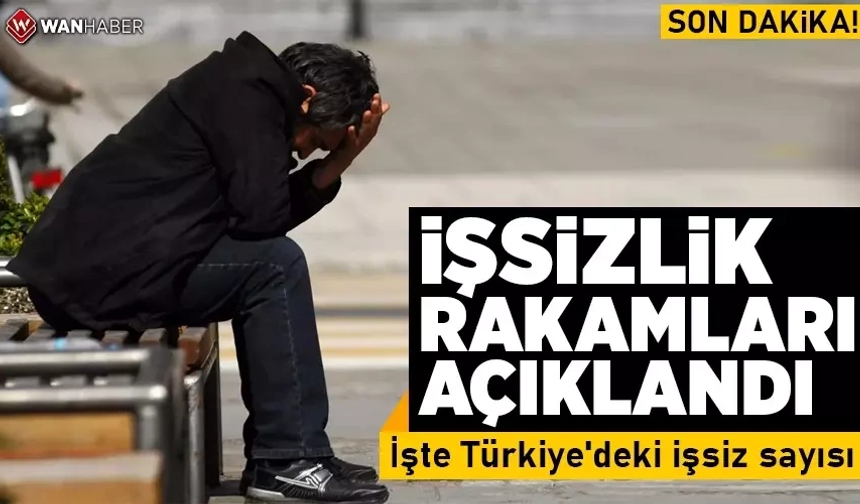 İşsizlik rakamları açıklandı