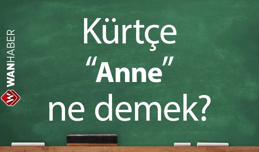 Kürtçe Anne ne demek? Kürtçe - Türkçe çeviri ve sözlük