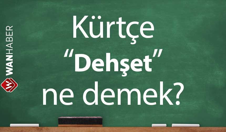 Kürtçe Dehşet ne demek? Kürtçe - Türkçe çeviri ve sözlük